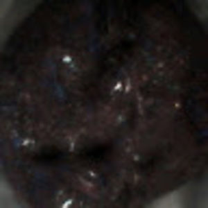 Meet your Posher, Mikela